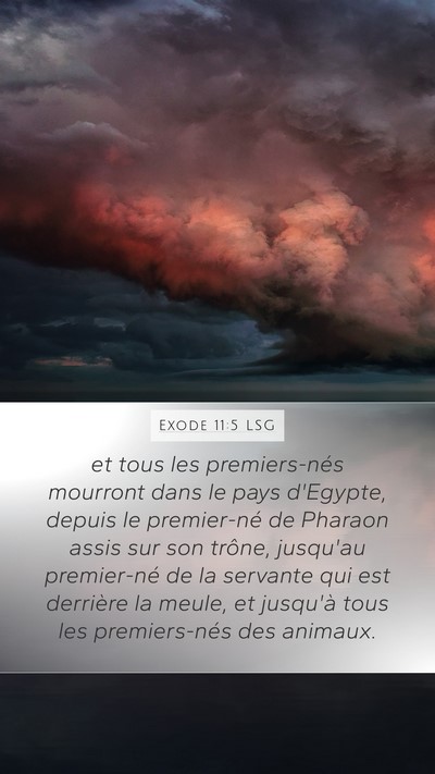 Exode 11:5 LSG Bible Verse Image