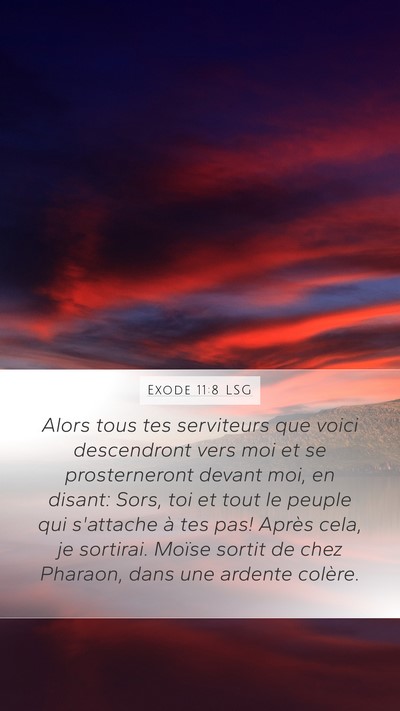 Exode 11:8 LSG Bible Verse Image