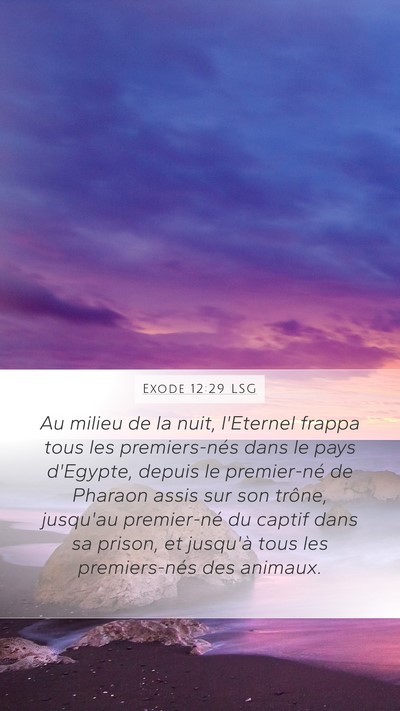 Exode 12:29 LSG Bible Verse Image