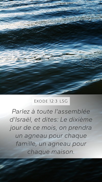 Exode 12:3 LSG Bible Verse Image