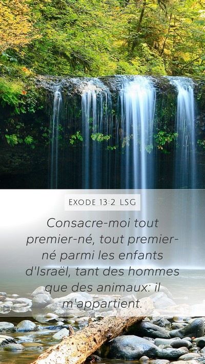 Exode 13:2 LSG Bible Verse Image