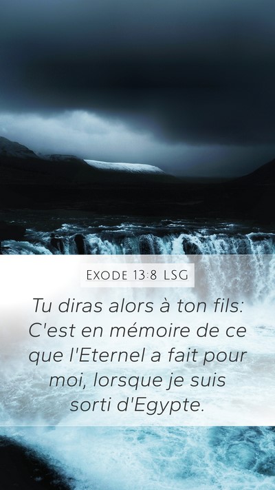 Exode 13:8 LSG Bible Verse Image