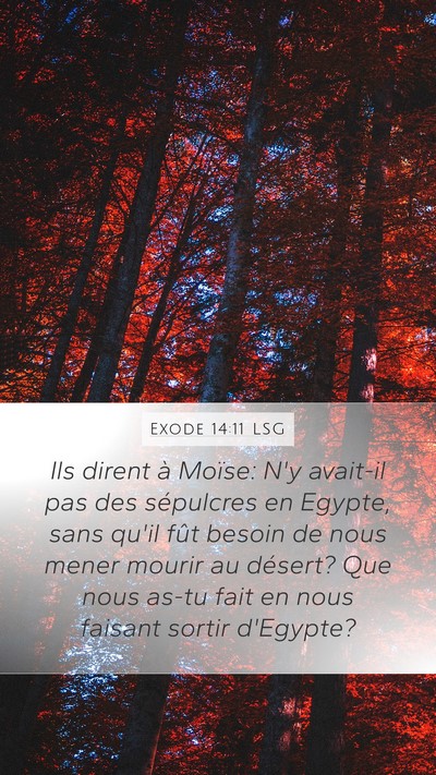Exode 14:11 LSG Bible Verse Image