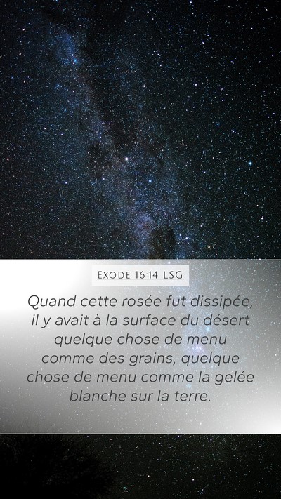 Exode 16:14 LSG Bible Verse Image