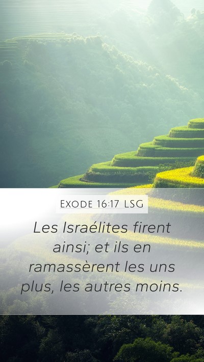 Exode 16:17 LSG Mobile Phone Wallpaper - Les Israélites firent ainsi; et ils en - Mobile Bible Verse Wallpaper