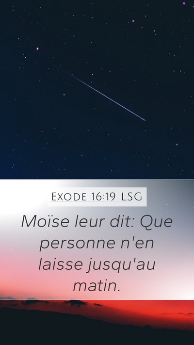 Exode 16:19 LSG Mobile Phone Wallpaper - Moïse leur dit: Que personne n'en laisse - Mobile Bible Verse Wallpaper
