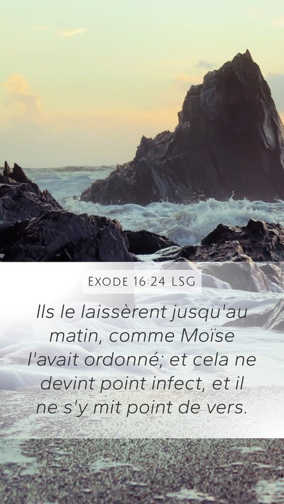 Exode 16:24 LSG Mobile Phone Wallpaper - Ils le laissèrent jusqu'au matin, comme Moïse - Mobile Bible Verse Wallpaper