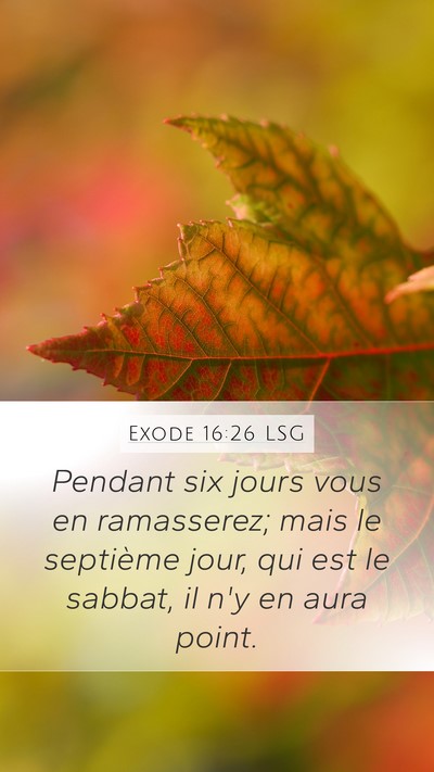 Exode 16:26 LSG Mobile Phone Wallpaper - Pendant six jours vous en ramasserez; mais le - Mobile Bible Verse Wallpaper