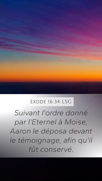 Exode 16:34 LSG Mobile Phone Wallpaper - Suivant l'ordre donné par l'Eternel à Moïse, - Mobile Bible Verse Wallpaper