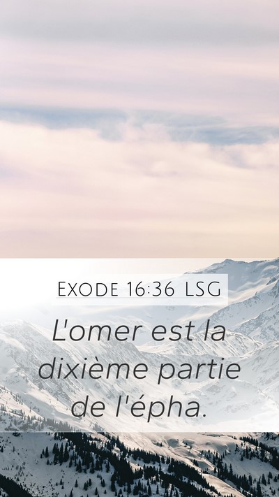 Exode 16:36 LSG Bible Verse Image