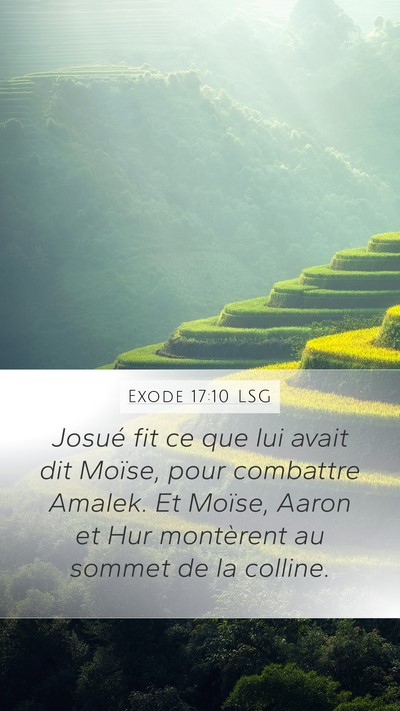 Exode 17:10 LSG Mobile Phone Wallpaper - Josué fit ce que lui avait dit Moïse, pour - Mobile Bible Verse Wallpaper