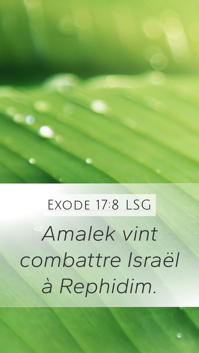 Exode 17:8 LSG Bible Verse Image