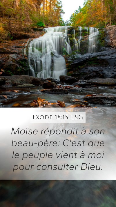 Exode 18:15 LSG Bible Verse Image