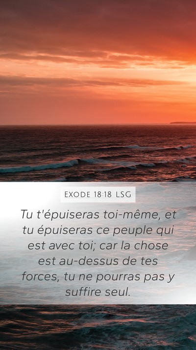 Exode 18:18 LSG Bible Verse Image