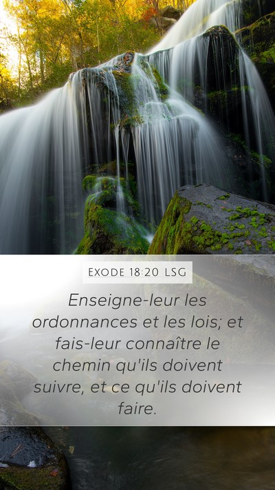 Exode 18:20 LSG Bible Verse Image