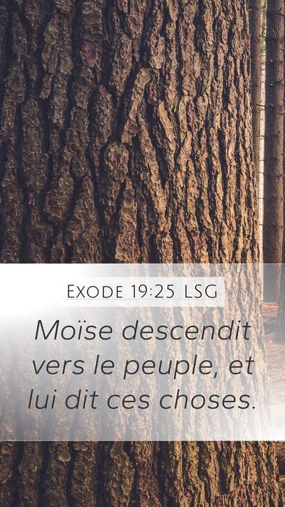 Exode 19:25 LSG Mobile Phone Wallpaper - Moïse descendit vers le peuple, et lui dit ces - Mobile Bible Verse Wallpaper