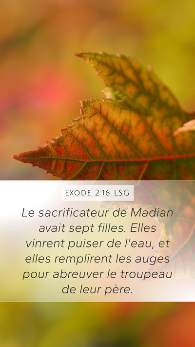 Exode 2:16 LSG Bible Verse Image
