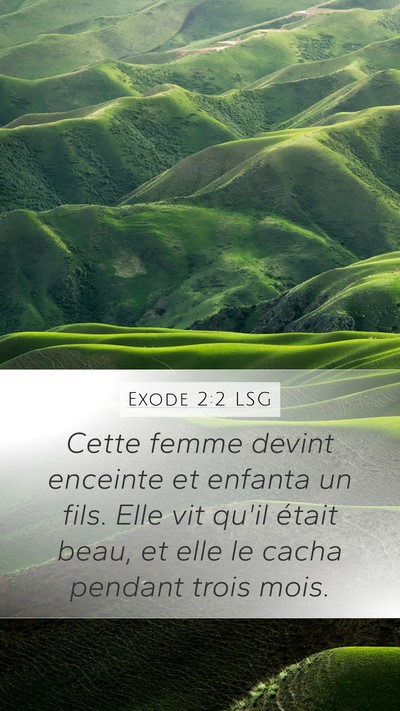 Exode 2:2 LSG Mobile Phone Wallpaper - Cette femme devint enceinte et enfanta un fils. - Mobile Bible Verse Wallpaper