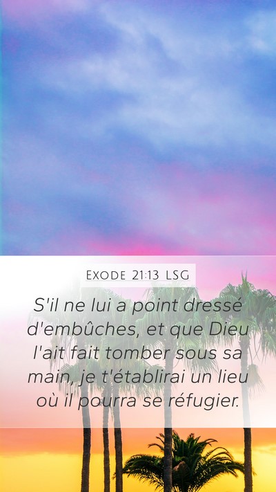 Exode 21:13 LSG Bible Verse Image