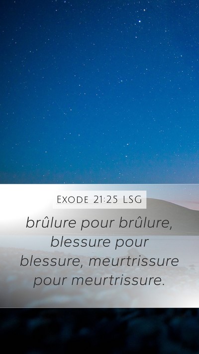 Exode 21:25 LSG Mobile Phone Wallpaper - brûlure pour brûlure, blessure pour blessure, - Mobile Bible Verse Wallpaper