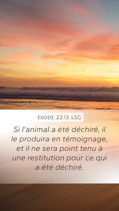 Exode 22:13 LSG Mobile Phone Wallpaper - Si l'animal a été déchiré, il le produira en - Mobile Bible Verse Wallpaper