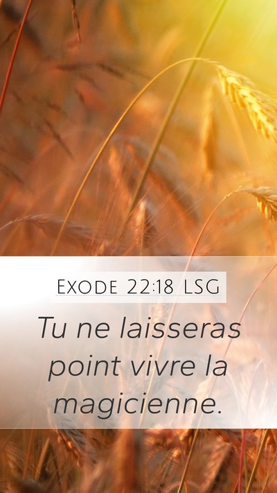 Exode 22:18 LSG Bible Verse Image