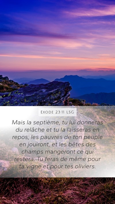 Exode 23:11 LSG Bible Verse Image