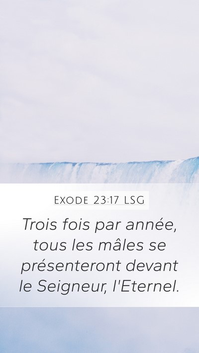Exode 23:17 LSG Bible Verse Image