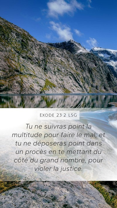 Exode 23:2 LSG Bible Verse Image