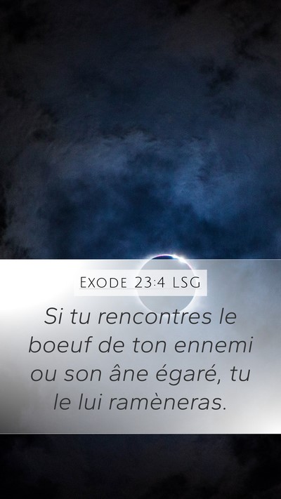 Exode 23:4 LSG Bible Verse Image