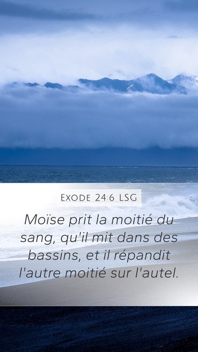 Exode 24:6 LSG Bible Verse Image