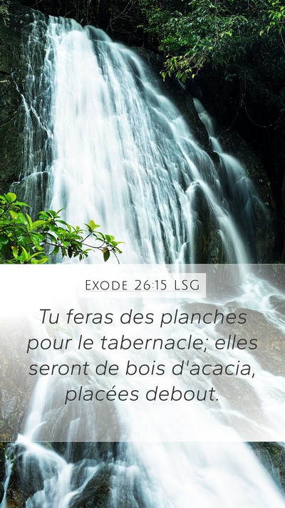 Exode 26:15 LSG Bible Verse Image