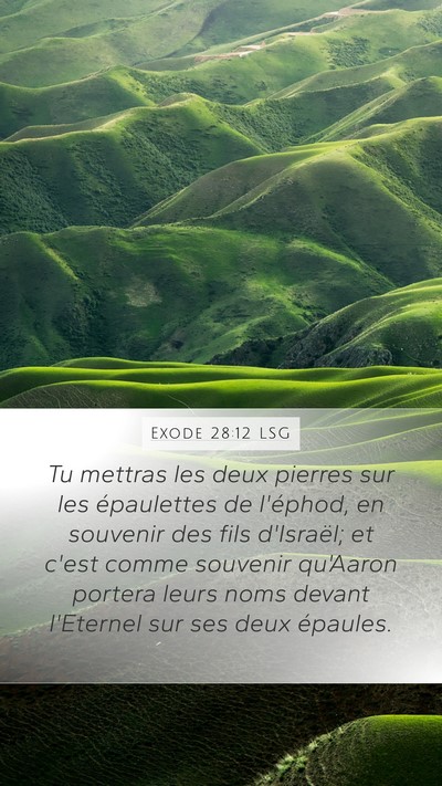Exode 28:12 LSG Bible Verse Image