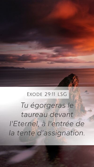 Exode 29:11 LSG Bible Verse Image