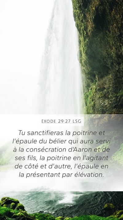 Exode 29:27 LSG Bible Verse Image