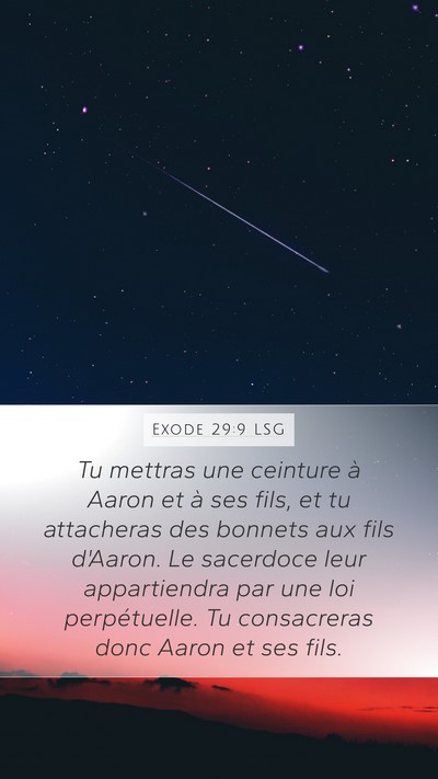 Exode 29:9 LSG Bible Verse Image