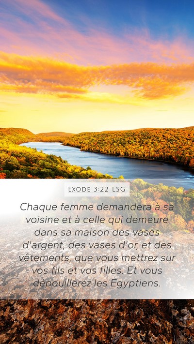Exode 3:22 LSG Bible Verse Image