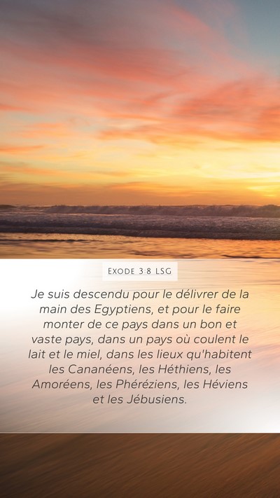 Exode 3:8 LSG Bible Verse Image