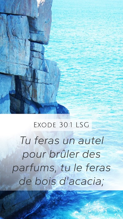 Exode 30:1 LSG Bible Verse Image