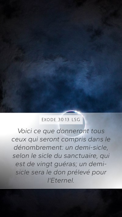 Exode 30:13 LSG Bible Verse Image