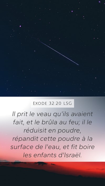 Exode 32:20 LSG Bible Verse Image