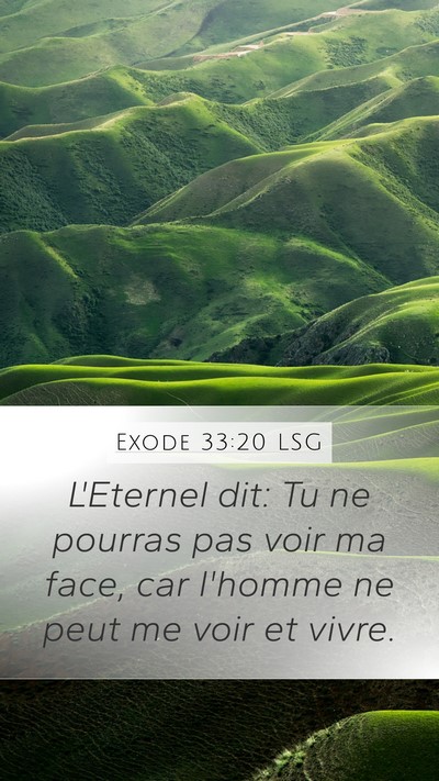 Exode 33:20 LSG Bible Verse Image