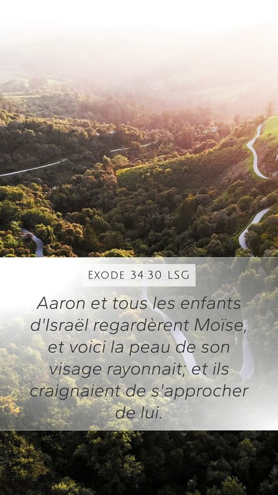 Exode 34:30 LSG Bible Verse Image