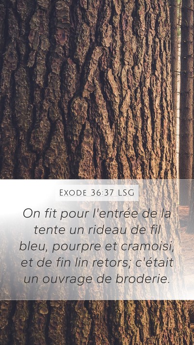 Exode 36:37 LSG Mobile Phone Wallpaper - On fit pour l'entrée de la tente un rideau de - Mobile Bible Verse Wallpaper