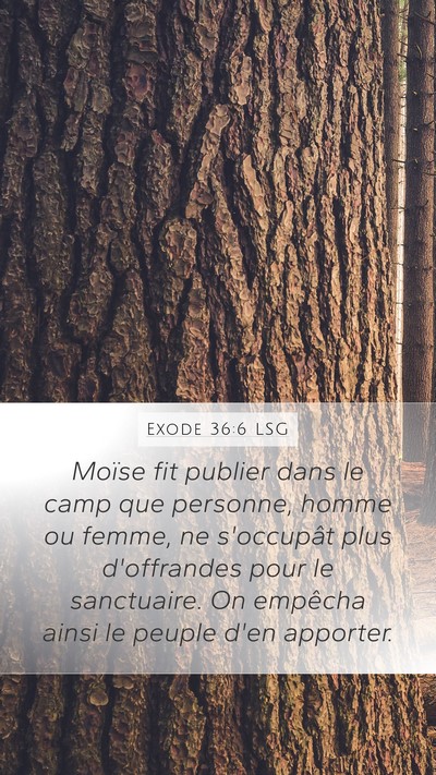 Exode 36:6 LSG Mobile Phone Wallpaper - Moïse fit publier dans le camp que personne, - Mobile Bible Verse Wallpaper