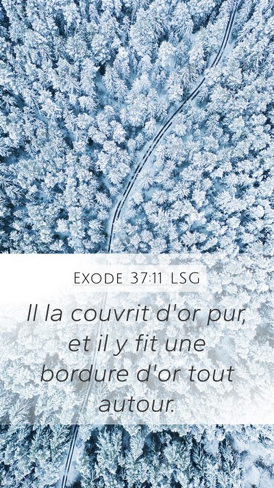 Exode 37:11 LSG Mobile Phone Wallpaper - Il la couvrit d'or pur, et il y fit une bordure - Mobile Bible Verse Wallpaper