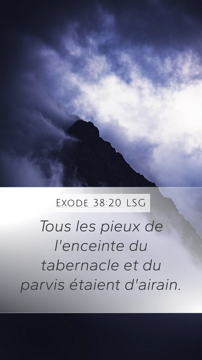 Exode 38:20 LSG Bible Verse Image