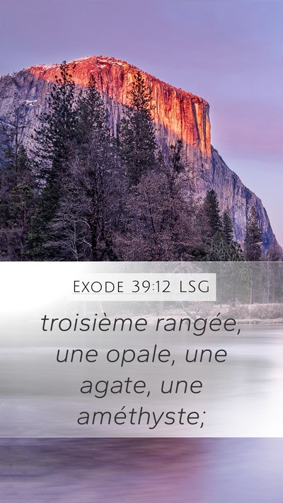 Exode 39:12 LSG Bible Verse Image
