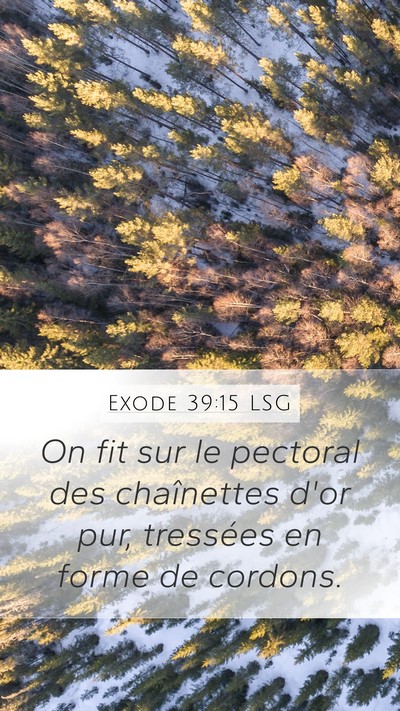 Exode 39:15 LSG Bible Verse Image