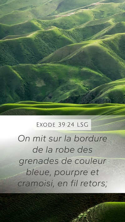 Exode 39:24 LSG Bible Verse Image